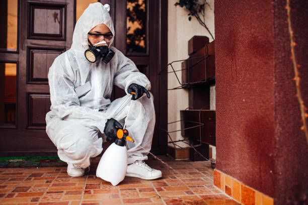 Reliable Cockroach Control contractor in Ruskin, FL by Nex Pest Control